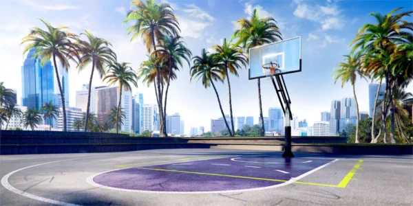 tapete basket 1