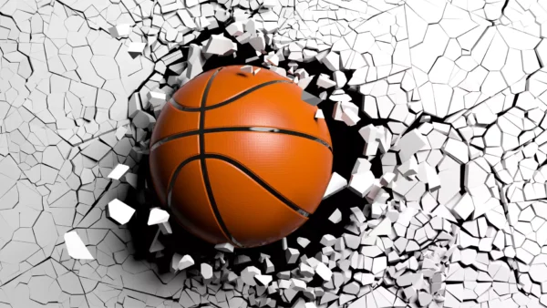 tapete basket 2