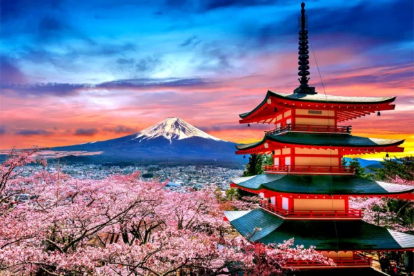 tapete cherry blossom 3