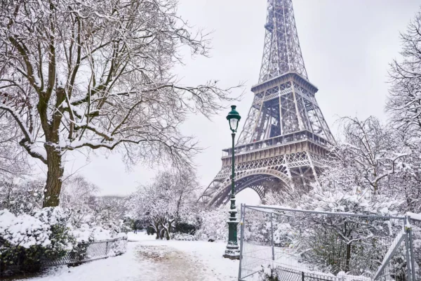 tapete france 8