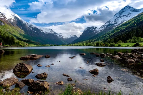 tapete nature 2