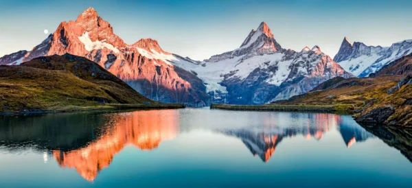 tapete nature 3