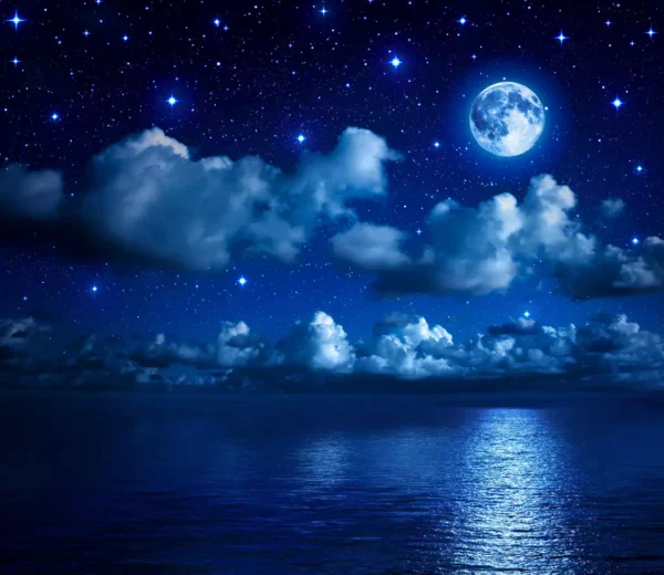 tapete shutterstock 181555565