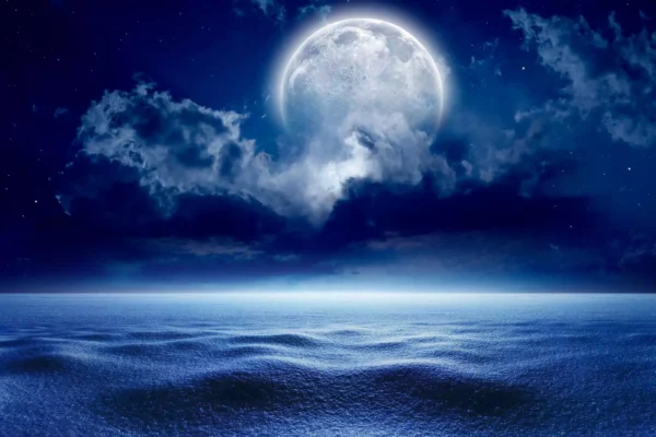 tapete shutterstock 368327954
