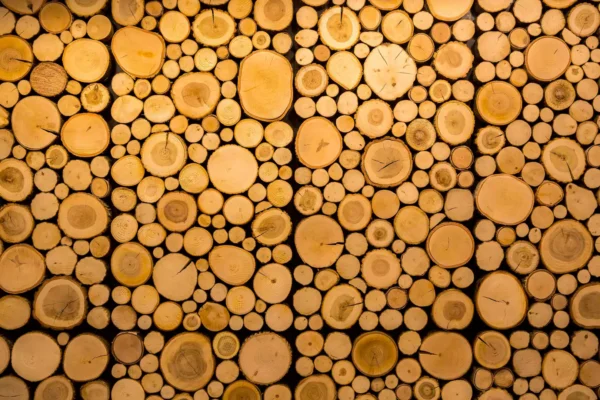tapete shutterstock 617289767