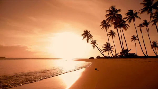 tapete sunset 7