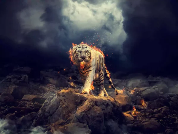 tapete tigar 2 fire
