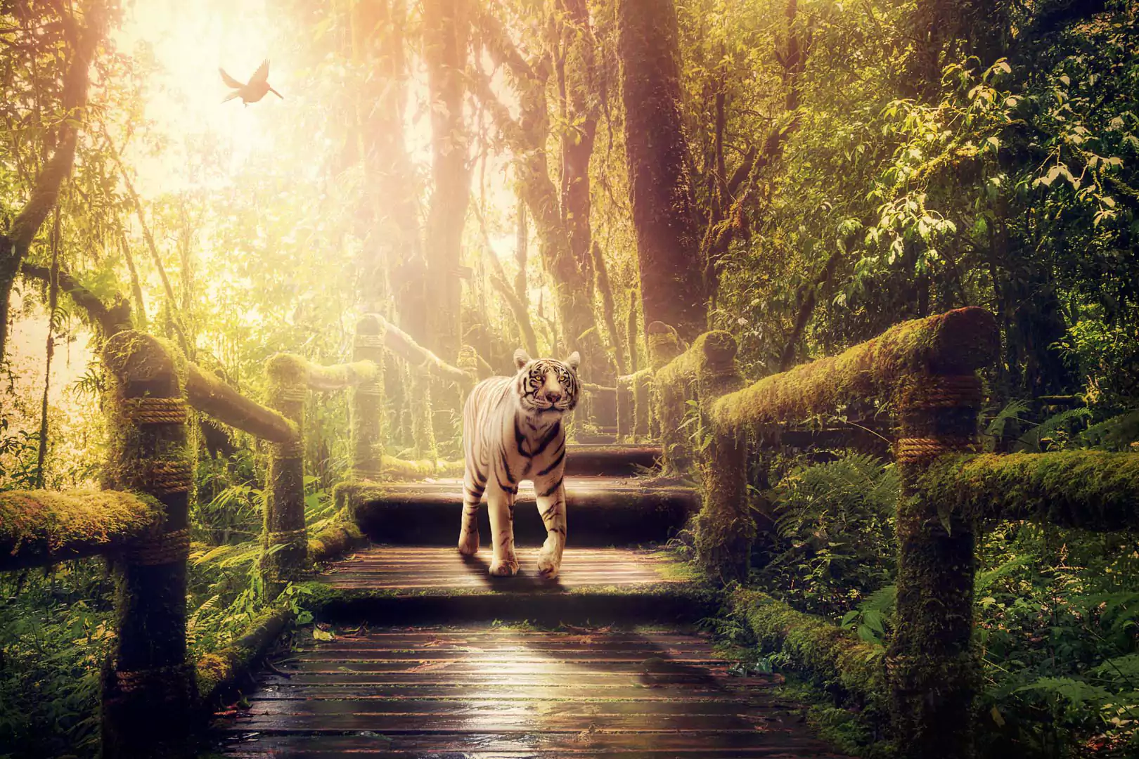 Tigar 4 1 Tigar 4