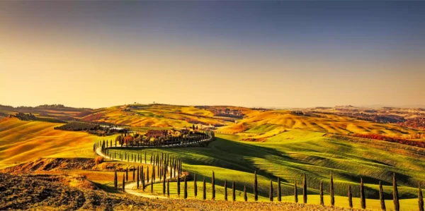 tapete toscana 1