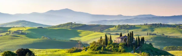 tapete toscana 3
