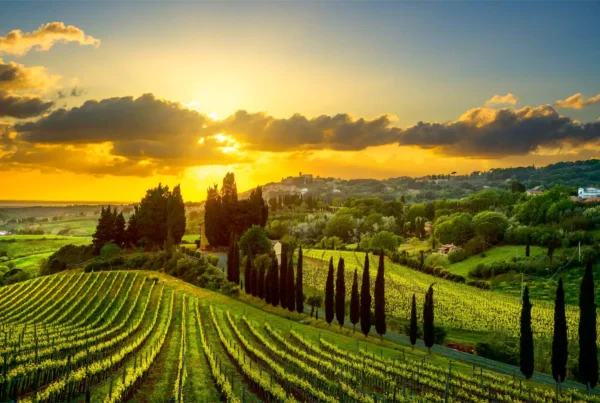 tapete toscana 5